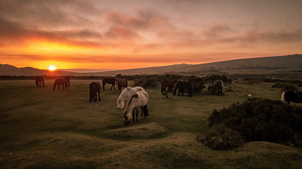 Image result for dartmoor sunset