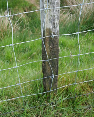 Marked fence post a.JPG