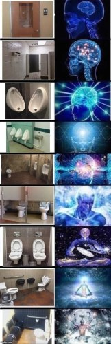 toilet galaxy brain .jpg