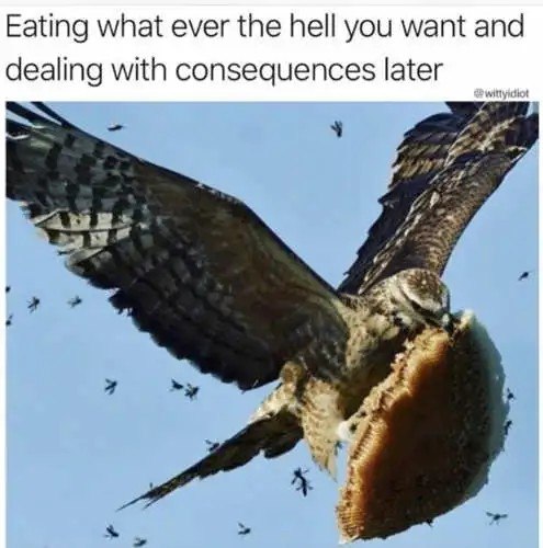 eating-want-consequences-later-beehive-eagle.jpg.00ef0e780268160e947922fcc295a479.jpg