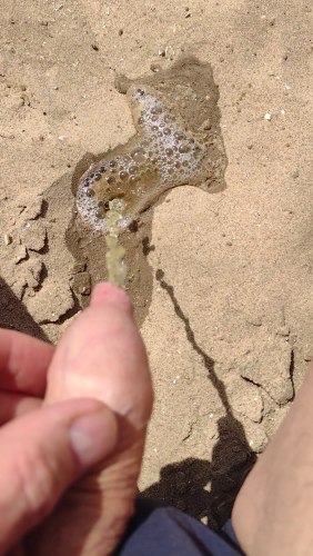 Pee on the sand 1 - frame at 0m19s.jpg
