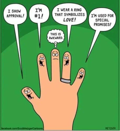 fingers-approval-1-ring-love-pink-promises-middle-finger-bird.thumb.jpg.00210e144baa57c8413ba7591fdf082c.jpg